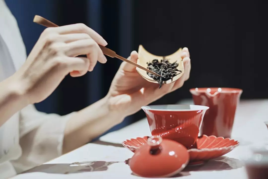 喝茶养生，泡一杯好茶需要掌握哪些技巧呢？